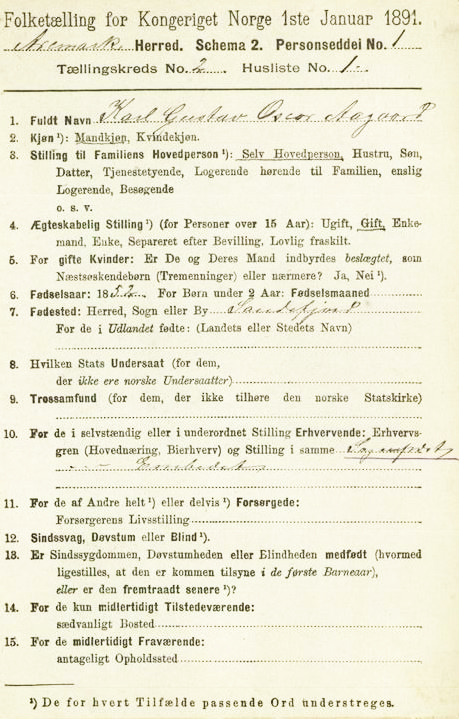 Norway 1891 census form